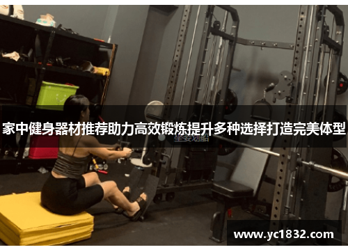 家中健身器材推荐助力高效锻炼提升多种选择打造完美体型