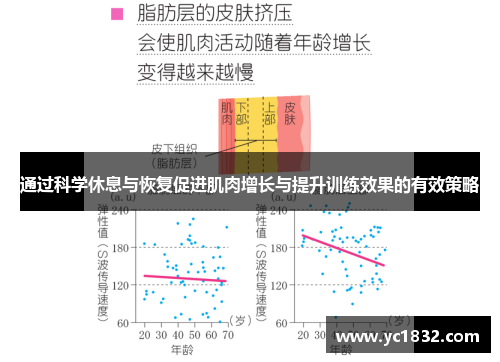 通过科学休息与恢复促进肌肉增长与提升训练效果的有效策略